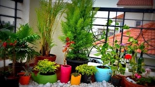 Balcony Gardens Prove No Space Is Too Small For Plants