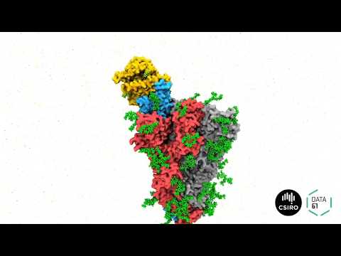 Computer modelling generating accurate simulation of COVID-19 spike protein