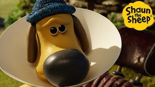 Shaun the Sheep 🐑 The Cone! - Cartoons for Kids 🐑 Full Episodes Compilation [1 hour]
