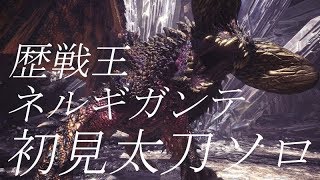 MHW 歴戦王ネルギガンテ 初見プレー