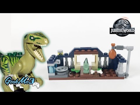 Vidéo LEGO Jurassic World 30382 : Le parc du bébé vélociraptor (Polybag)