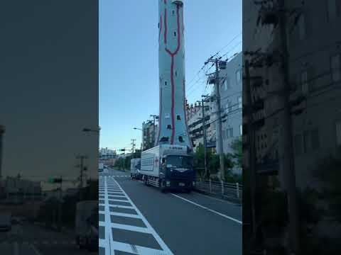 庭で段ボールをどうやって使う？過小評価されない 4 つの賢い使い方  庭園