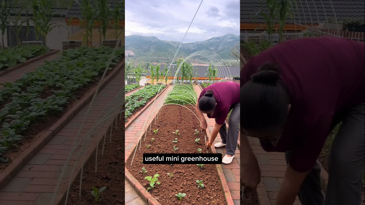 Reusable Mini Greenhouse Materials #gardening #farming farming
