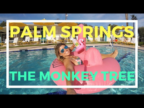 The Monkey Tree Hotel in Palm Springs