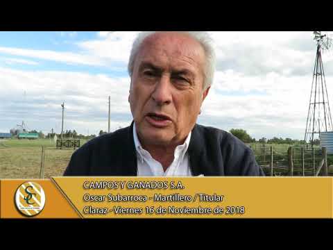 OSCAR SUBARROCA   MARTILLERO Y TITULAR