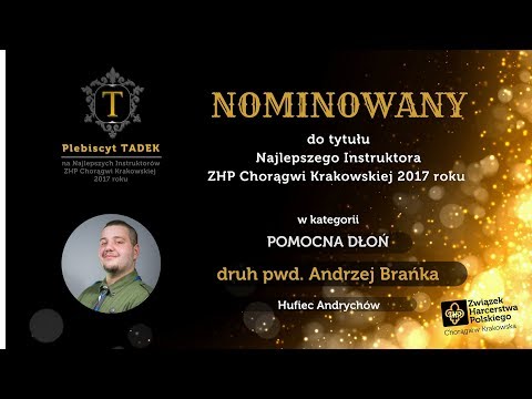 POMOCNA DŁOŃ pwd. Andrzej Brańka Plebiscyt TADEK 2017