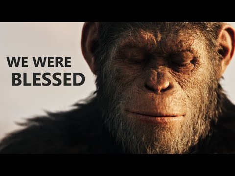 Why the Planet of the Apes Feels So Different