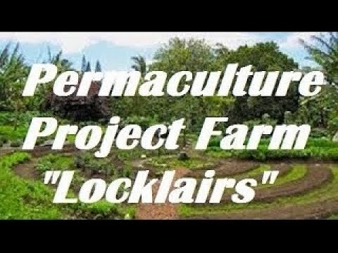Project Farm 2025 Late Summer Tour: Permaculture Showcase