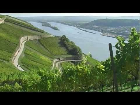 Rheingau - Deutsches Weinanbaugebiet