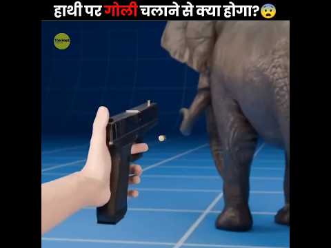 What If You Shot An Elephant 😨