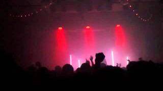 The Limousines - Wildfires