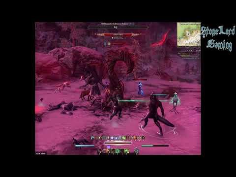 Eso Stamina Warden Fight  At Harrowstorm
