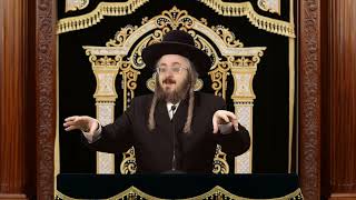 פרשת חיי שרה | אור החיים הקדוש | הרב מנחם מנדל פומרנץ (ארגון ענפים) - התמונה מוצגת ישירות מתוך אתר האינטרנט יוטיוב. זכויות היוצרים בתמונה שייכות ליוצרה. קישור קרדיט למקור התוכן נמצא בתוך דף הסרטון