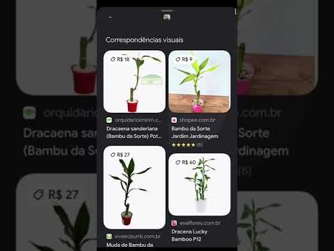 Como utilizar o Google Lens para reconhecer objetos