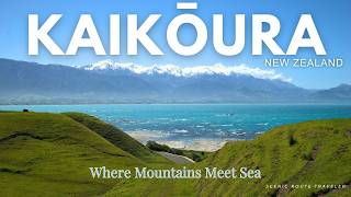 Kaikōura: The Ultimate Guide to New Zealand's Wildlife & Nature Hotspot
