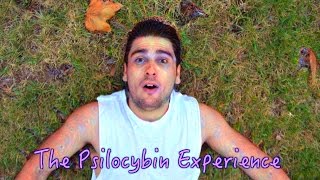 What SHROOMS Feel Like | The Psilocybin Mushroom Experience (Low Vs High dose)