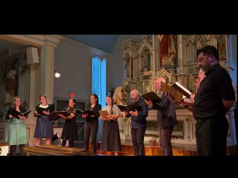 Die Mit Tranen Saen, G.A. Homilius - Les Oisifs