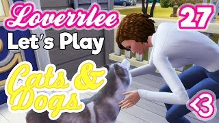 Cats & Dogs #27: Vibrant Veterinary