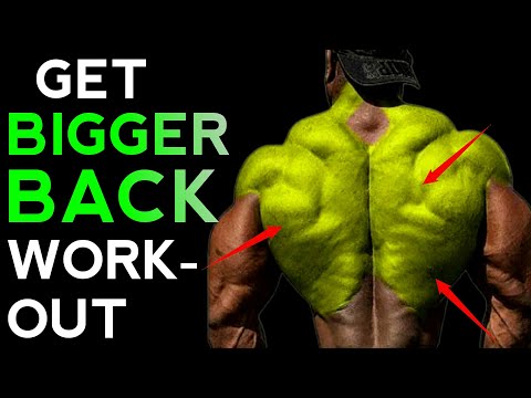 how to build bigger lats | back workout for beginners | how to train your back