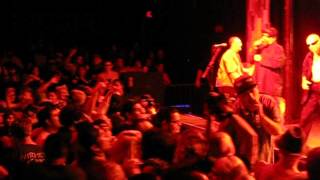 Manic Hispanic - Mommy&#39;s Little Cholo