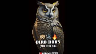 Download lagu 📢COMPETITION HORN🙉|BIRD HORN(CHIV-CHIV MIX)|UNRELEASED TRACK|#competition #music #unreleasedsongs mp3