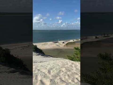 Jandaíra-Bahia #natureza #dunas #caminhoparaumavidamelhor #vida #paisagem #nordeste #belezasnaturais