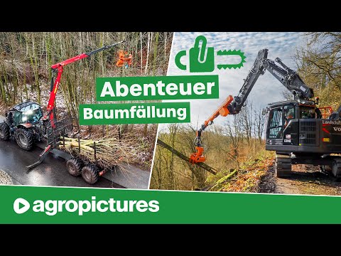 Baumfällung extrem mit Westtech Woodcracker am Hoflader, Rückewagen, Bagger und Teleskoplader