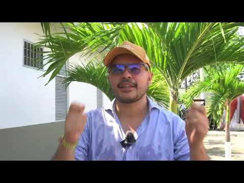 Titulación a familias campesinas que cambiaron cultivos de coca por yuca y ñame