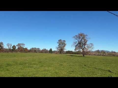 Ver video — Fundo ganadero de 80 ha en Loncoche, camino a Villarrica