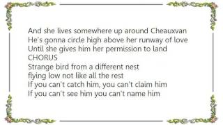 Jimmy Buffett - Strange Bird Lyrics