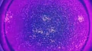 Geneva May - Sun (Original version)