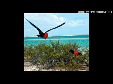 Ongora ngkoe (Kiritimati) by Tekaie