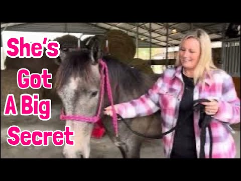 Our Horse, Rita, Has a Secret