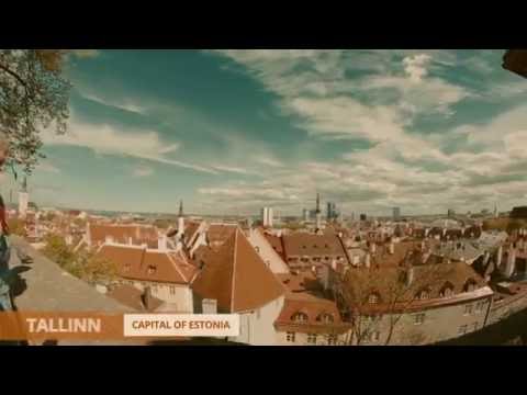 Tallink Floorball adults