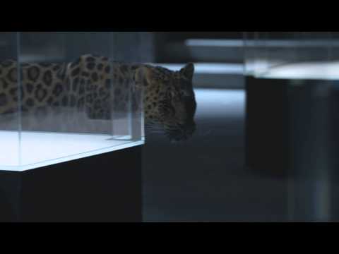 Cartier "La Panthère" (Publicis 133)