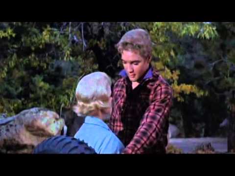 Tender Feeling - Elvis Presley