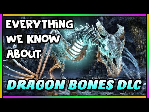 Everything to Expect for Update 17 and The Dragon Bones Dlc!