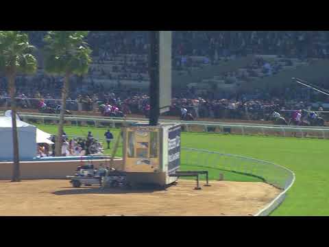 2017 14 Hands Winery Breeders' Cup Juvenile Fillies - All Angles Replay