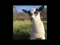 Hello Motherfucker
