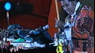 ScreaminJayHawkins Alligator Wine