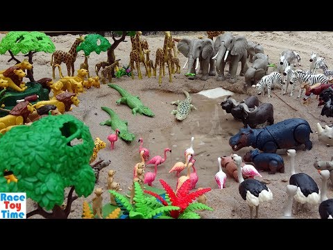 Playmobil Safari Wild Animals Toys in the Sandbox - Learn Animal Names For Kids