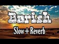 Barish Tumhe Barish Bada Yaad Karti Hai Slow Reverb Stebin B Payal D SB LOFI MIX SONGS