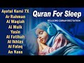 Relaxing Quran Recitation For Deep Sleep And Your All Problems Solve | Relaxing - Holy Quran