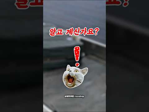 해외 여행 시 캐리어 분실 대응 방법 및 꿀팁
