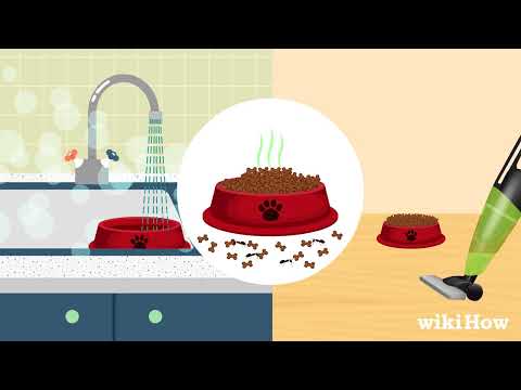 How to Keep Ants Out of Pet Food