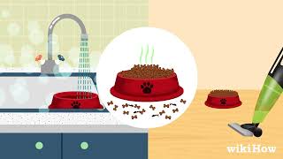 How to Keep Ants Out of Pet Food