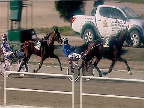 Trotto 01/03/2019 - 2ª corsa