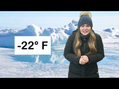 Animal Habitats in The Arctic