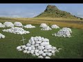 The Battle of Isandlwana - Impi - Johnny Clegg