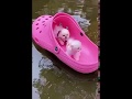 Pocket Puppy Fun Fight With Brother Play Small Dog 2020